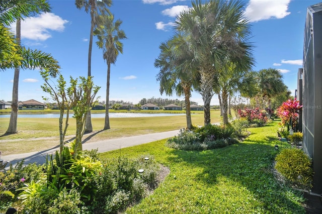 view of yard with a water view