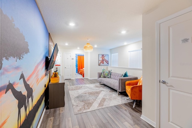 living room featuring light hardwood / wood-style floors