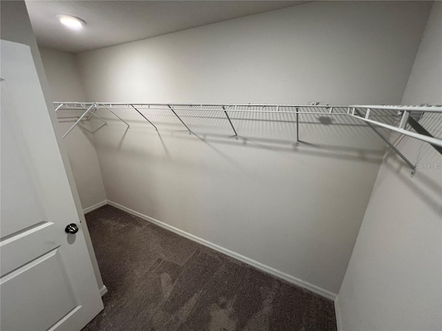 spacious closet featuring dark colored carpet