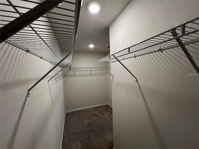 spacious closet featuring carpet