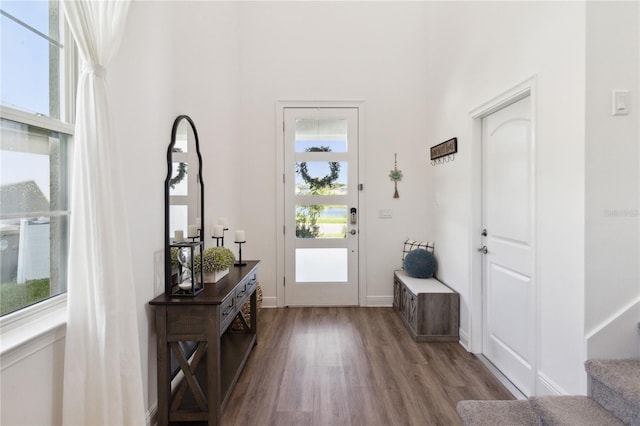 foyer featuring hardwood / wood-style floors