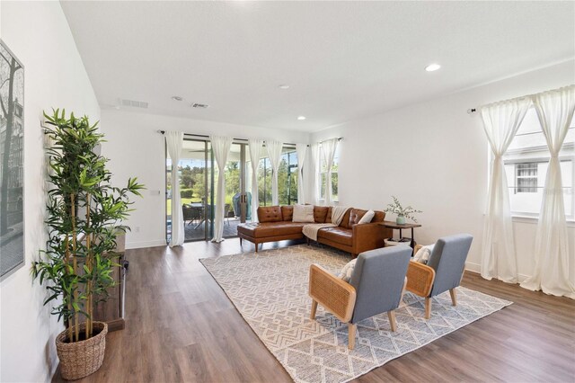 living room featuring a wealth of natural light and dark hardwood / wood-style flooring