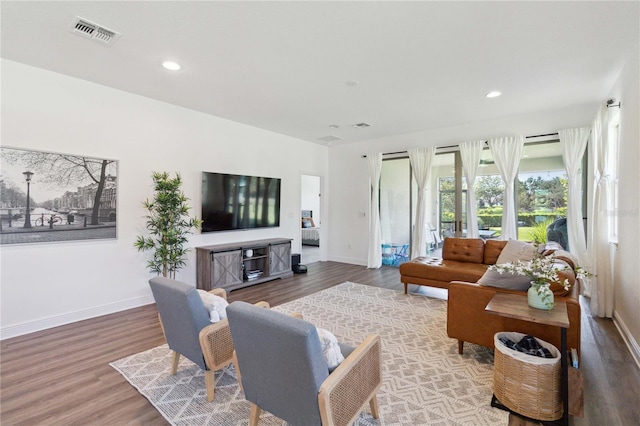 living room with hardwood / wood-style flooring