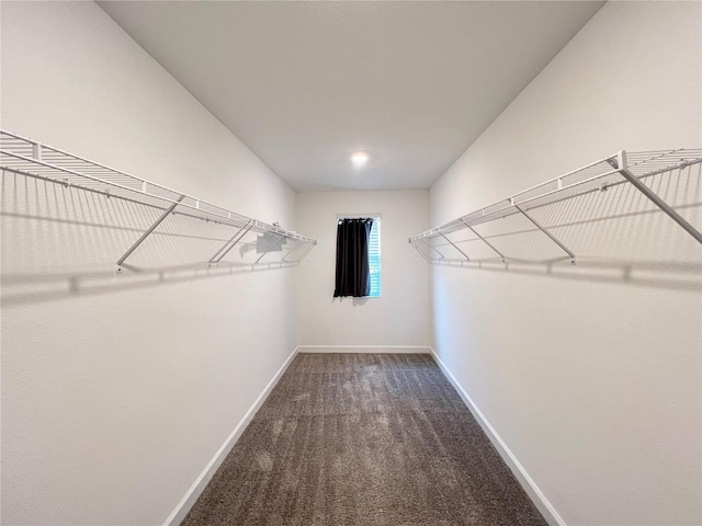 spacious closet with dark colored carpet