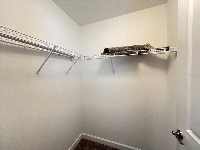 view of spacious closet