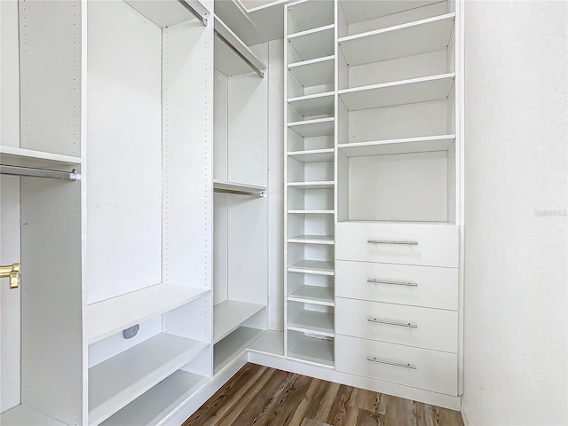 walk in closet with dark wood-type flooring