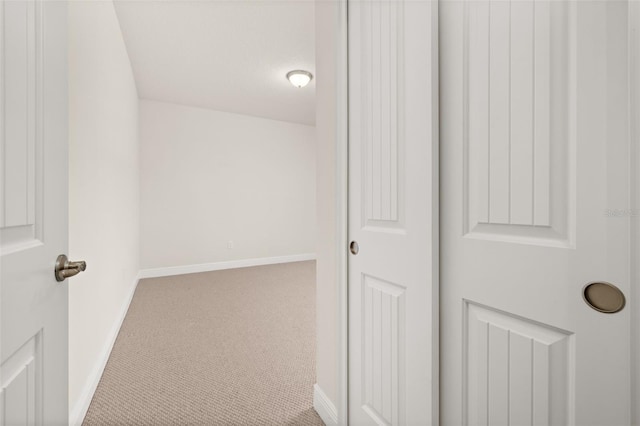 interior space with carpet flooring