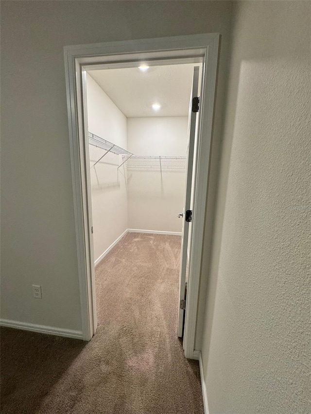 walk in closet with light colored carpet