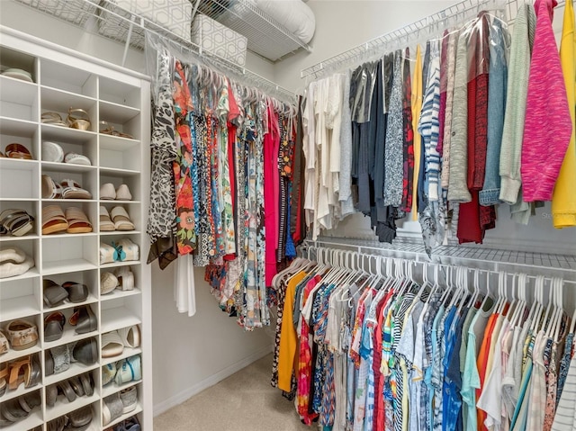 spacious closet featuring carpet floors