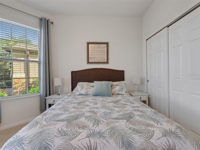 bedroom featuring multiple windows, carpet floors, and a closet