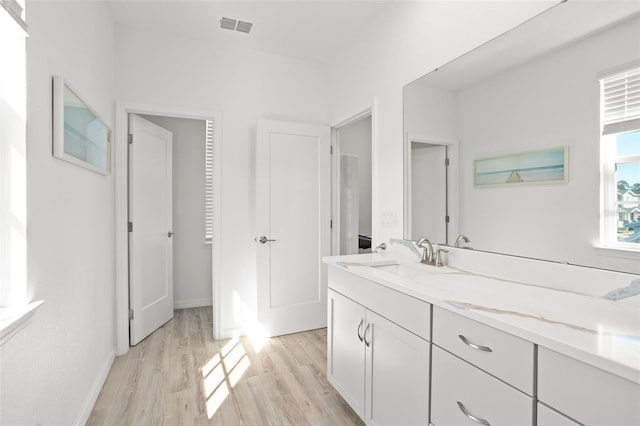 bathroom featuring vanity and wood-type flooring