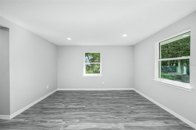 spare room featuring wood-type flooring