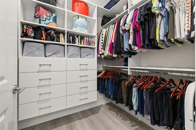 walk in closet with light hardwood / wood-style floors