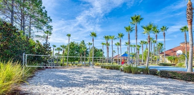 surrounding community featuring volleyball court