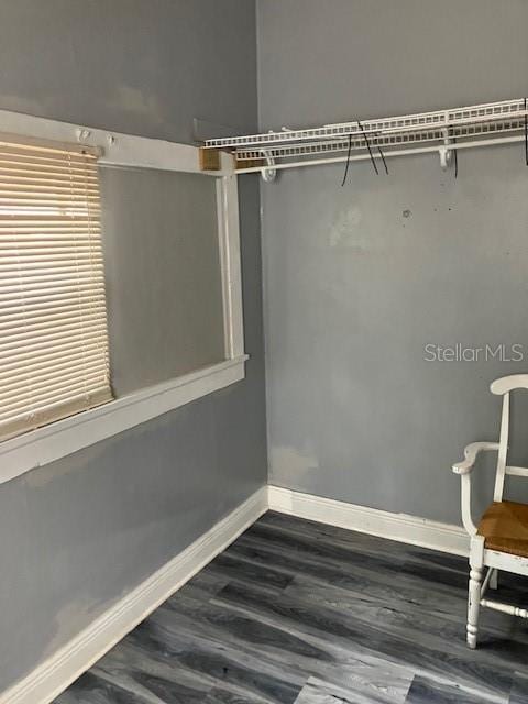 spacious closet with dark wood-type flooring