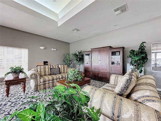 living room featuring a textured ceiling