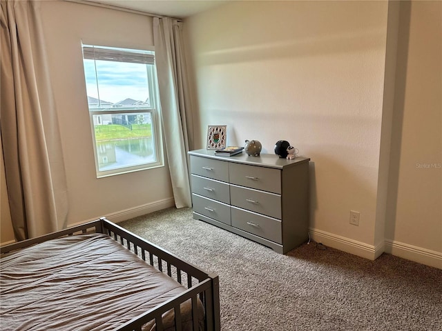 bedroom with carpet floors