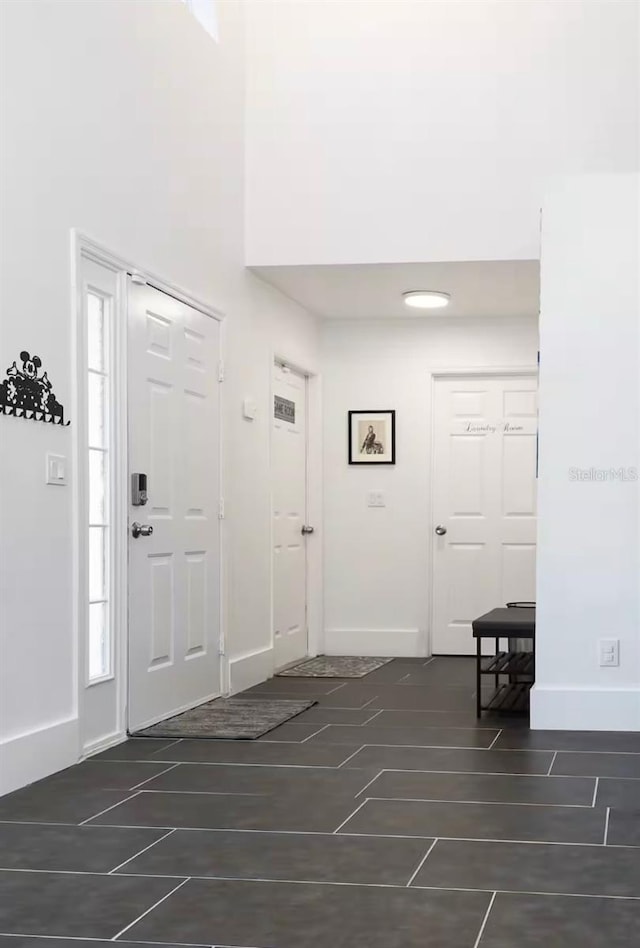 foyer with a towering ceiling