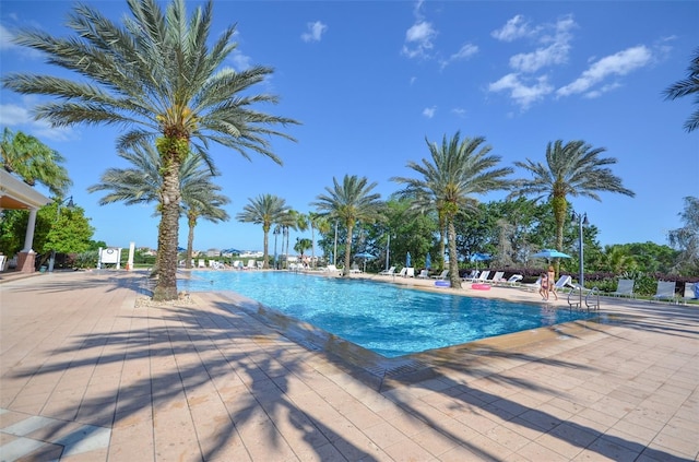 view of pool featuring a patio