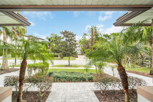 view of yard with a patio