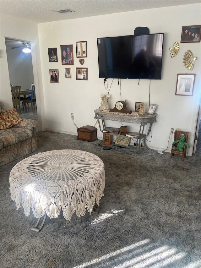 living room with carpet and a textured ceiling