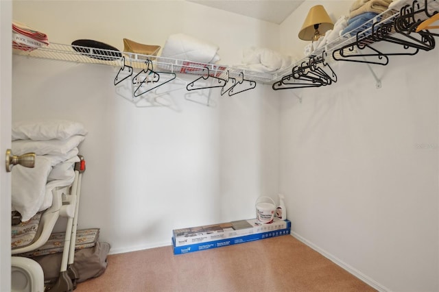 spacious closet with carpet flooring