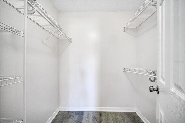 spacious closet featuring hardwood / wood-style floors