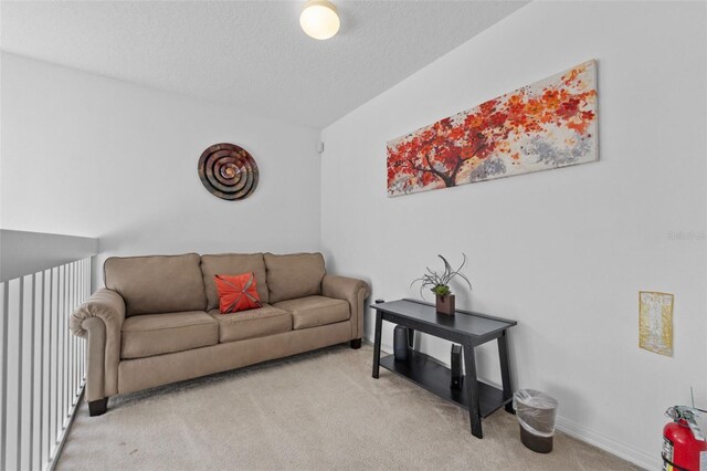 256 Lancaster Dr, Davenport, FL 33897 - living area with carpet flooring, a textured ceiling, and vaulted ceiling