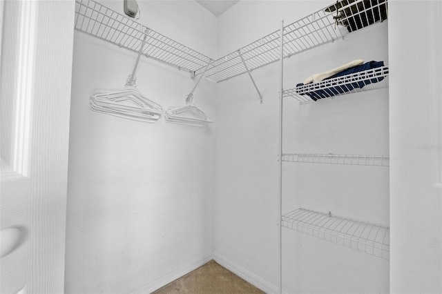 256 Lancaster Dr, Davenport, FL 33897 - view of spacious closet