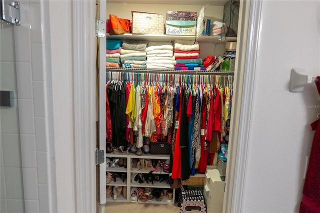 view of closet