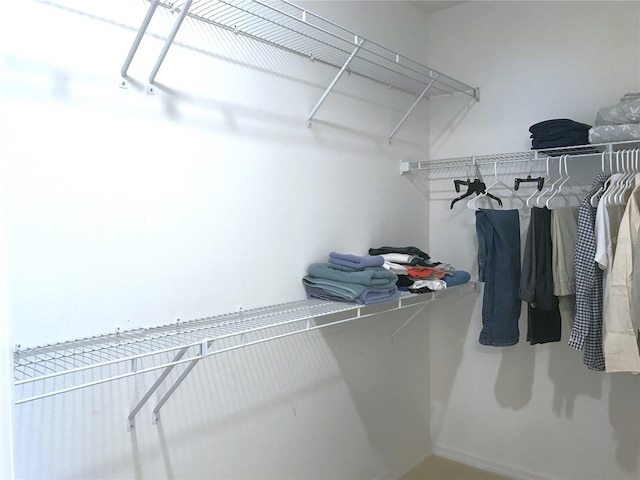 view of walk in closet