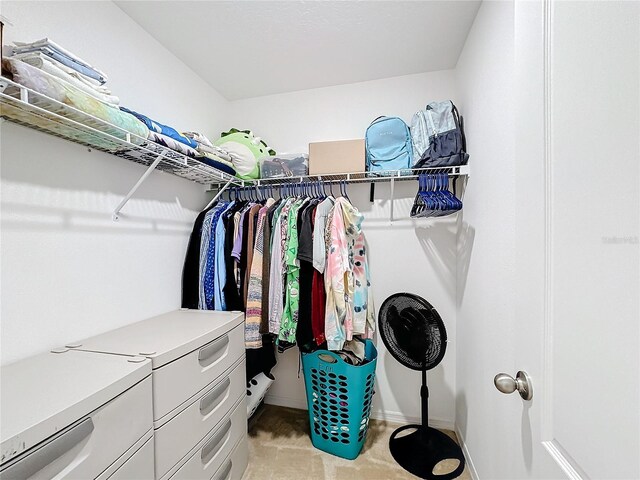 spacious closet featuring light carpet