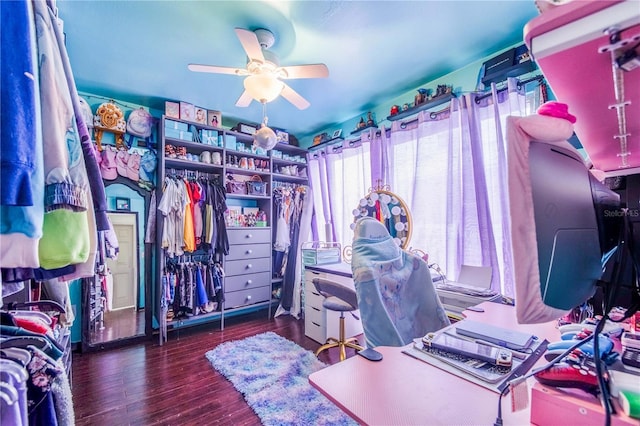 spacious closet featuring ceiling fan and dark hardwood / wood-style flooring