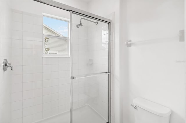 bathroom with toilet and a shower stall