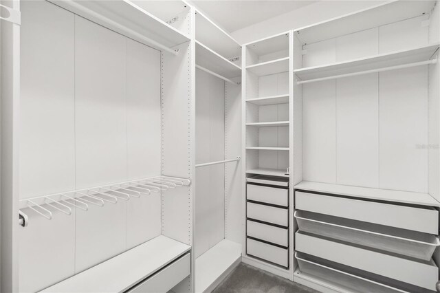 view of walk in closet