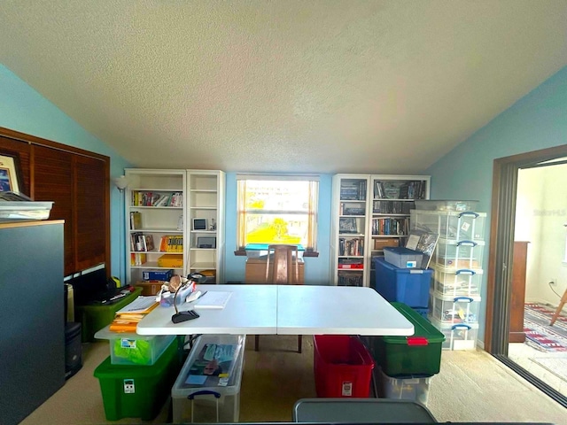 playroom featuring a textured ceiling, carpet floors, and lofted ceiling