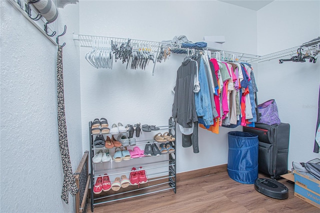 walk in closet featuring wood-type flooring