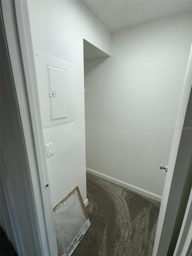 interior space featuring electric panel and dark carpet