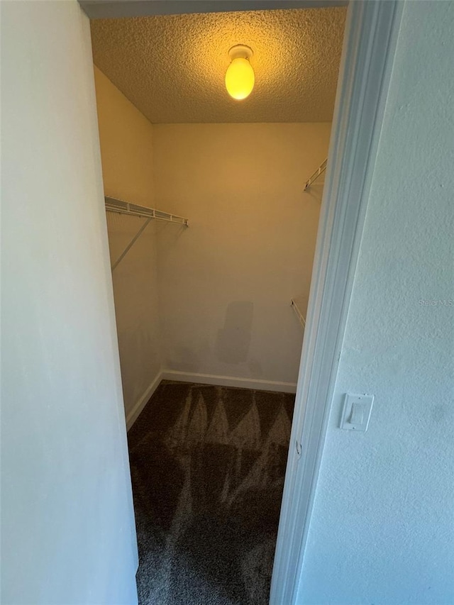 spacious closet featuring carpet floors