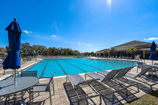 view of pool featuring a patio