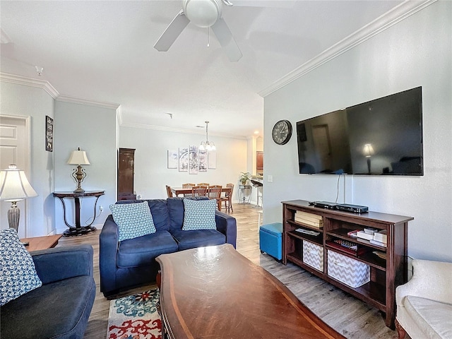 living room featuring ceiling fan with notable chandelier, light hardwood / wood-style floors, and ornamental molding