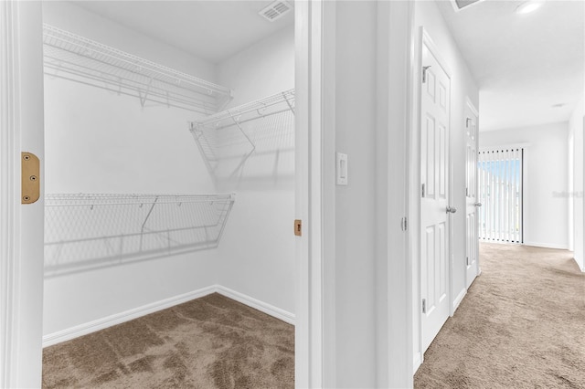 spacious closet featuring carpet floors