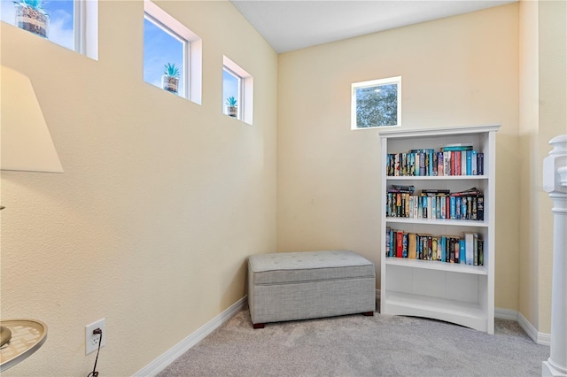 living area with light colored carpet