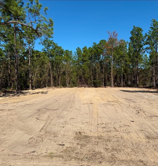 89th Cir, Ocala FL, 34473 land for sale