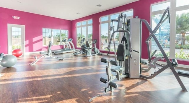 gym featuring wood-type flooring