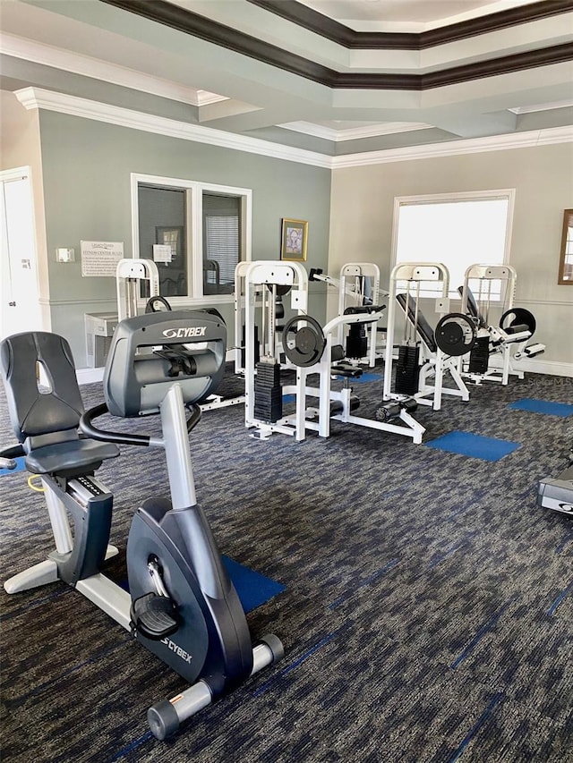 exercise room featuring a raised ceiling and crown molding