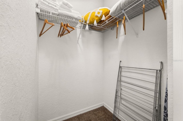 spacious closet with carpet floors