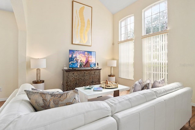 living room with wood-type flooring and vaulted ceiling