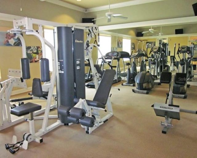 exercise room featuring ceiling fan and crown molding