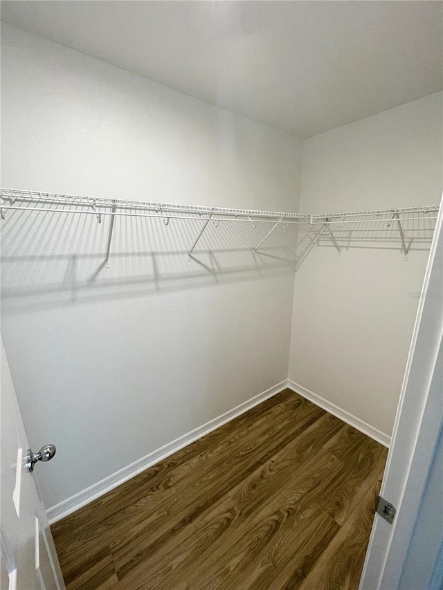 spacious closet featuring wood-type flooring